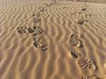 Logo-Mont-sahara-trekking-a-Marrakech